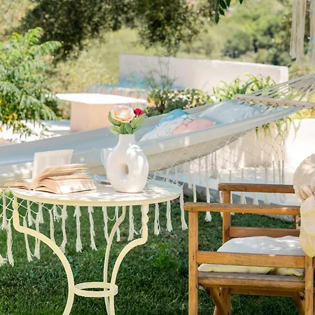 Arca - Enchanting Sunset!